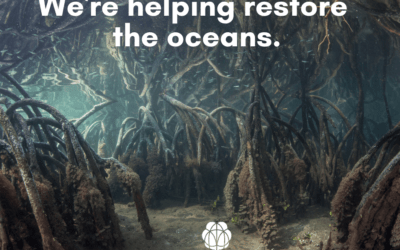 We’re supporting World Ocean Day