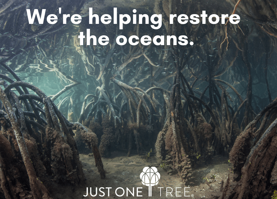 We’re supporting World Ocean Day
